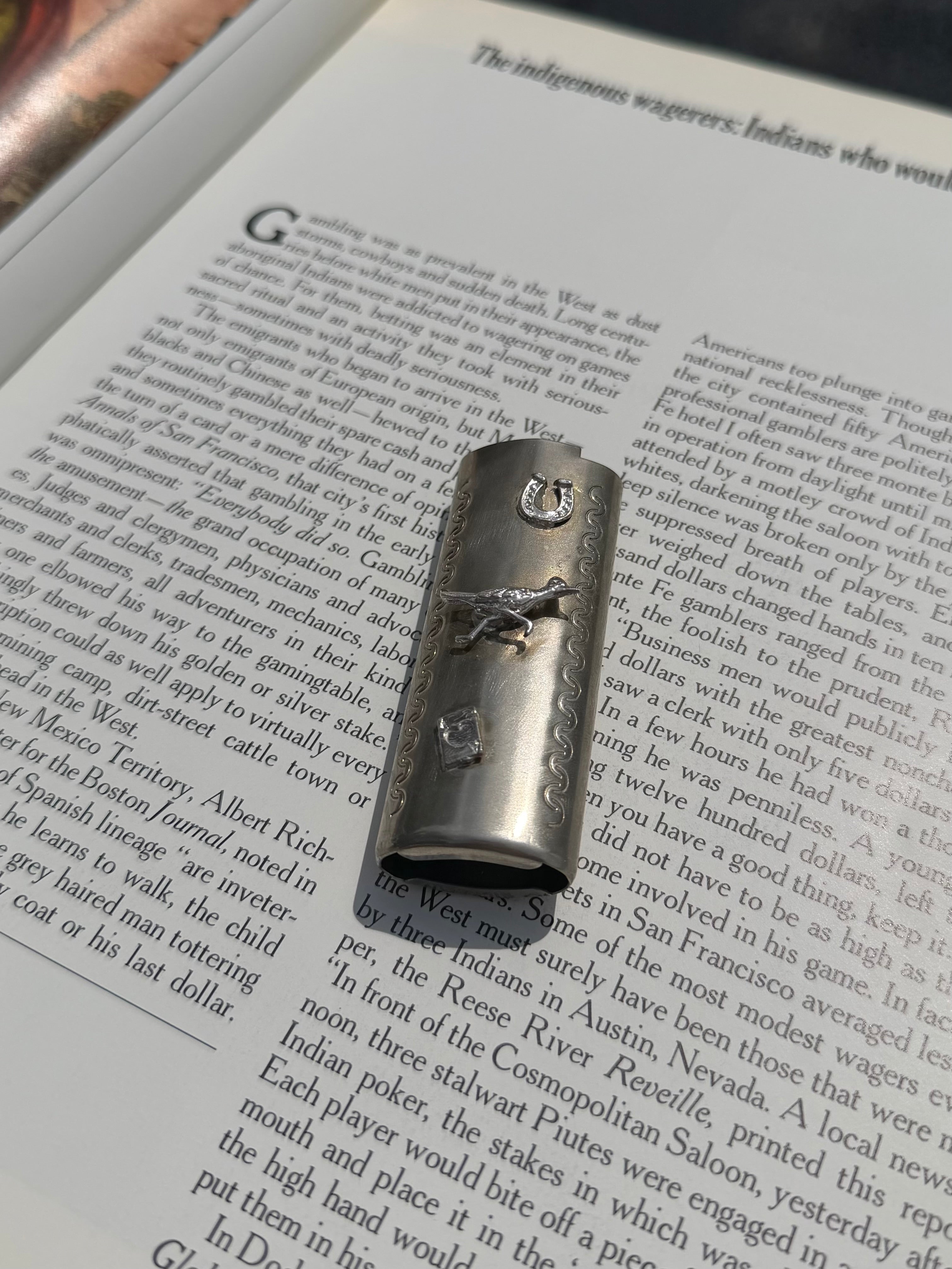 Wild Roadrunner Lighter Cover