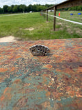 Royal Flush Ring Size 6.25